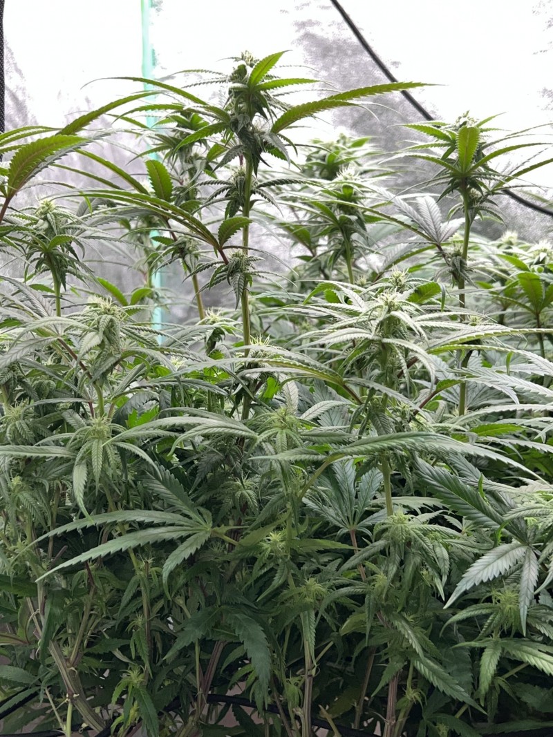 CB82464C-106C-4C16-95DA-6F5A81E43A7E