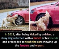 3164437c74077910ac608d28c0cdfef1602dfc93_2_597x500