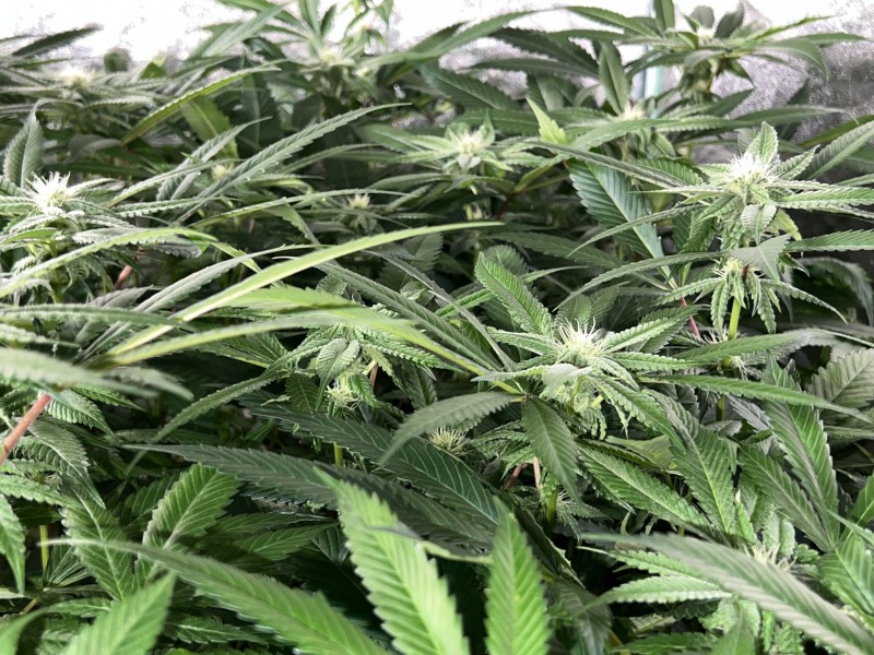 0E71EE6A-3B46-47B4-975F-9233B35F8C12