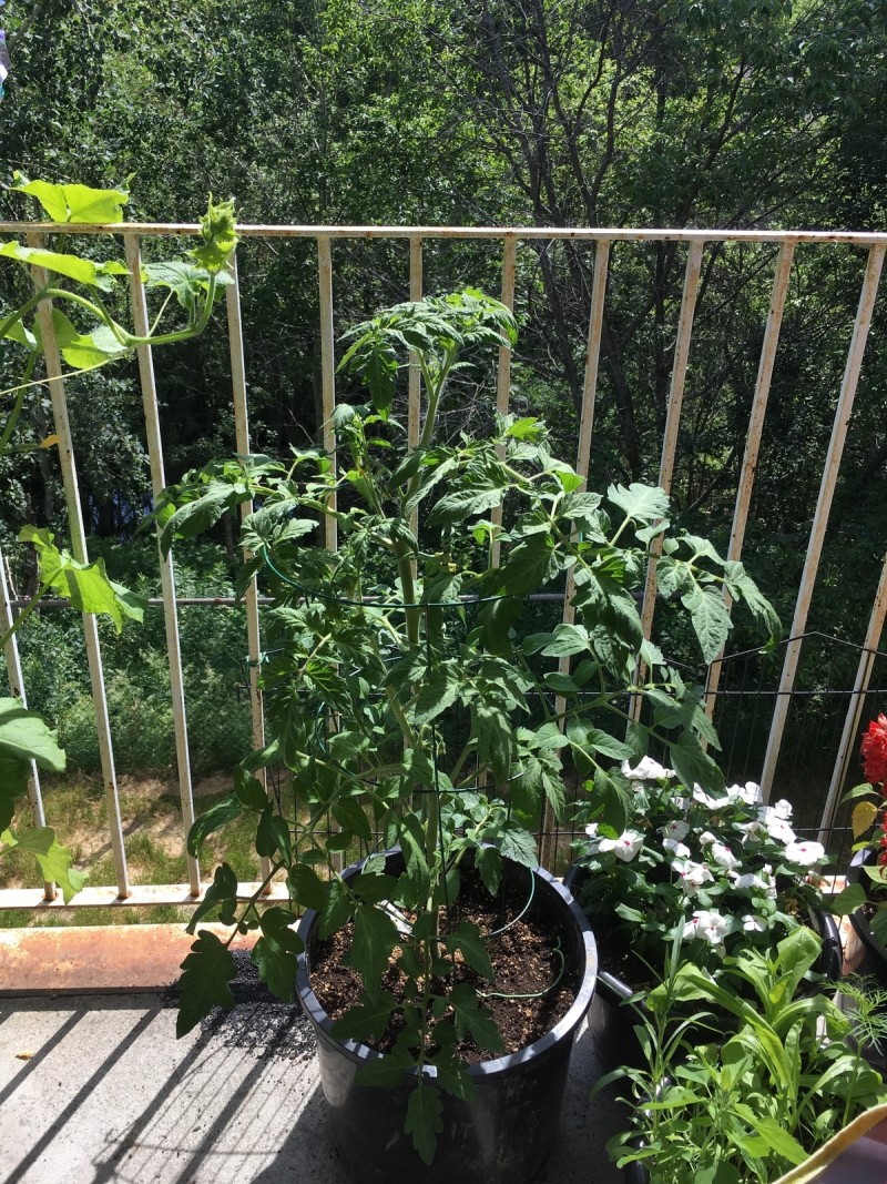 BE34ED03-C812-4460-9E20-71E01548E3B4