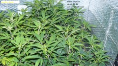 drobes the new start,finish 014