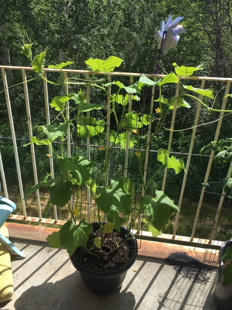 CCA9CF99-2A39-44E9-8A51-92B1BE80E09B