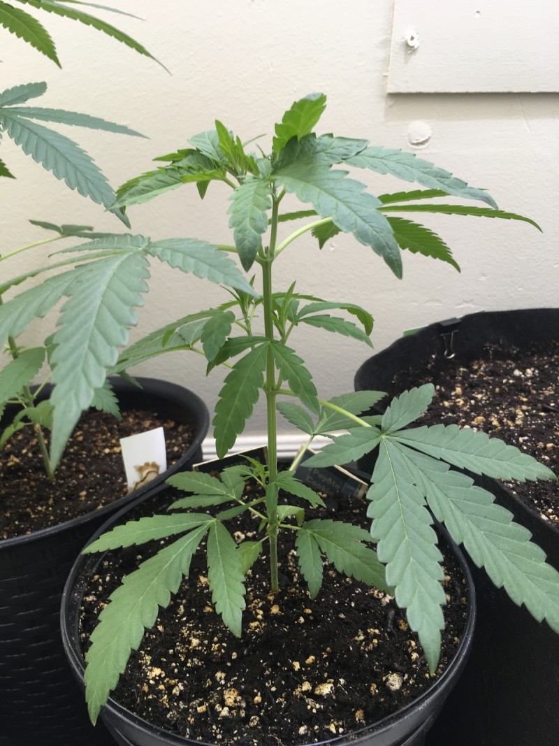 34B6EC10-8AAF-4500-9D9D-18405A49D840