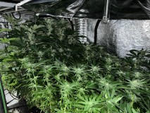 6EB49ABD-43D2-4839-91DF-11EA23ED428B