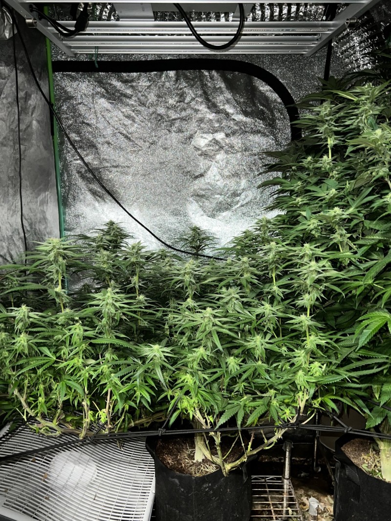 281F09B0-3152-4A61-82ED-7A0B55B1EA57