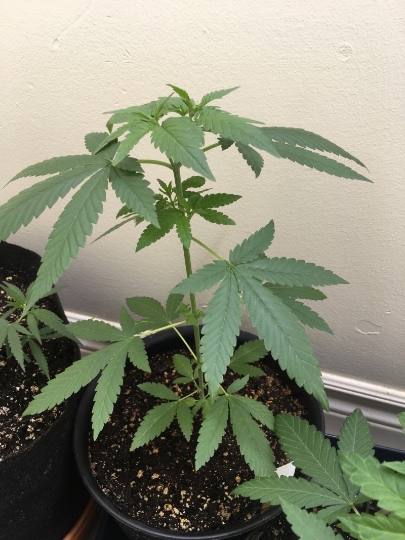 D41195A7-C09D-46B1-886D-B6117CD92518