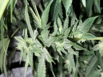 CA4E060C-D4D5-4D53-818A-29092AC9D240