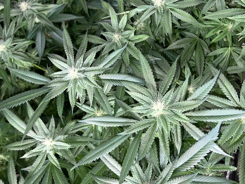 D21C80BA-700E-4C21-BF92-93724BDE9761