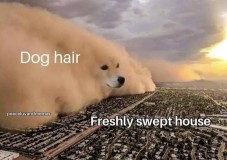 1d1c91f1ba0b88ee0c5ef6b72b24d086ca9b1913_2_689x486