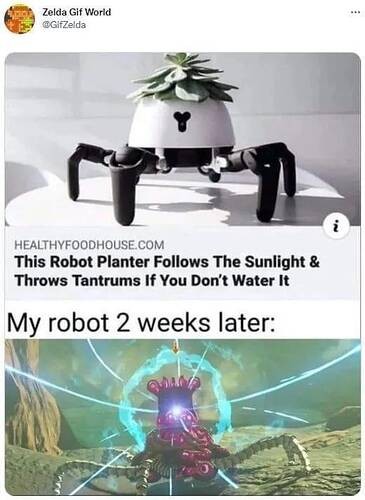 6647c04866e1086216855f3dcc6a3f9e9cc91b6b_2_365x500