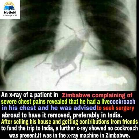 465243686aee7226cd5badcd289687c04547722e