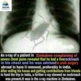 465243686aee7226cd5badcd289687c04547722e