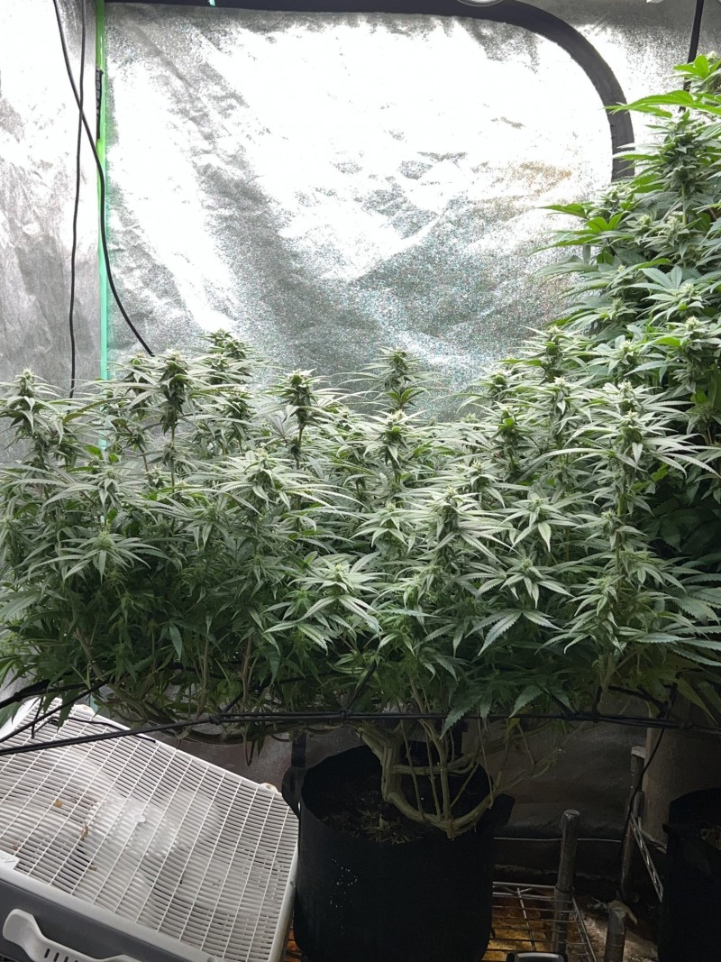 D763B2B4-7FFF-4531-AF25-429F897FEAD8