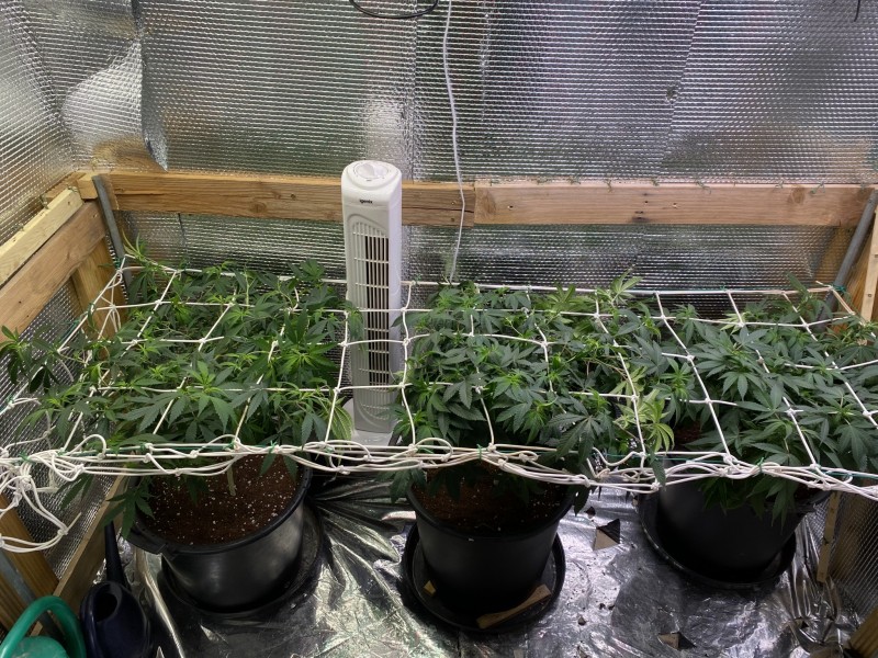 53C1A403-EF4F-4178-A893-143CB5C7884F