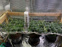 53C1A403-EF4F-4178-A893-143CB5C7884F