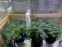 FB725076-DD53-4F20-B48C-72F563C36706