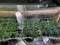 99C80597-B475-4604-998A-DB3E9B56ECB4