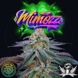 attitude-perfecttree-newlogo22-mimozz_400x400