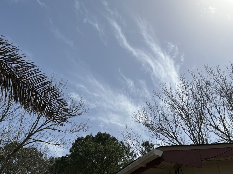 B95DCC2E-10C0-4C0B-905B-BB68AFBD845A