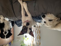 1E036712-8CB4-410E-B109-21AB03B44A19