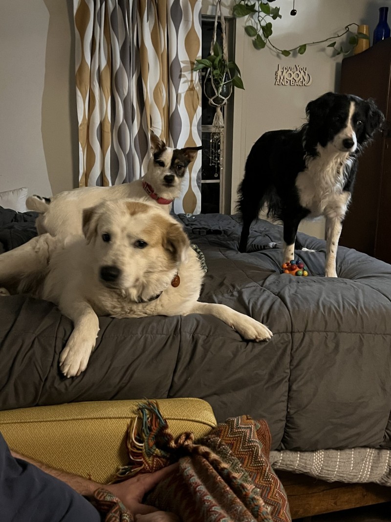 BF7CD833-8CB9-4836-A333-7EC525A8798A