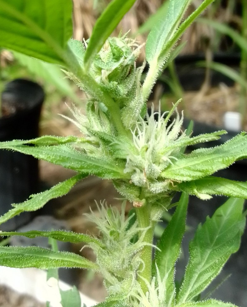 IMG_20230301_100040_HDR~2