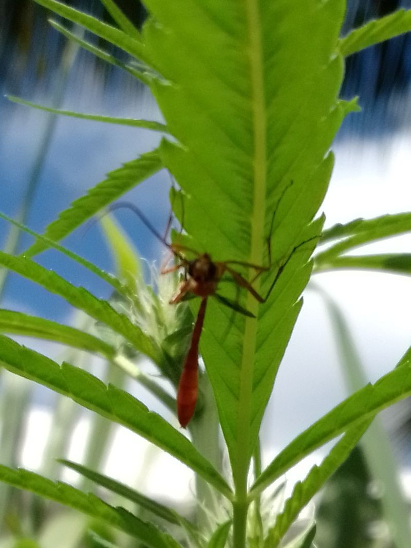 IMG_20230301_100501_HDR~2