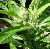 IMG_20230301_100243_HDR~2