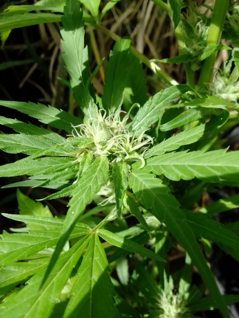 IMG_20230301_100323_HDR