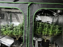 1CC6E9A3-8524-4DC1-B199-0F51D7427D68