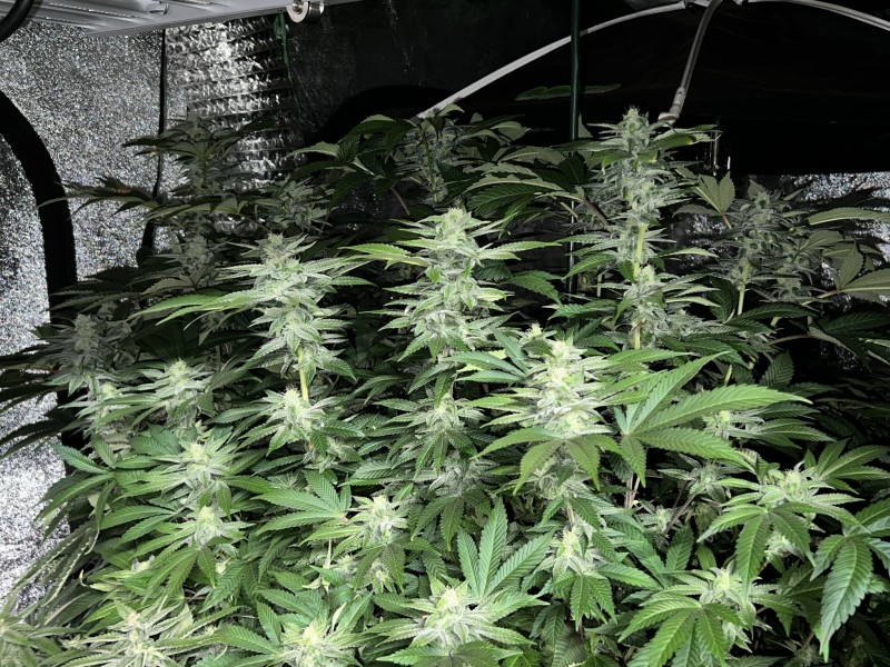 B1EA0669-1242-4F52-BF3C-E8AF134824D1