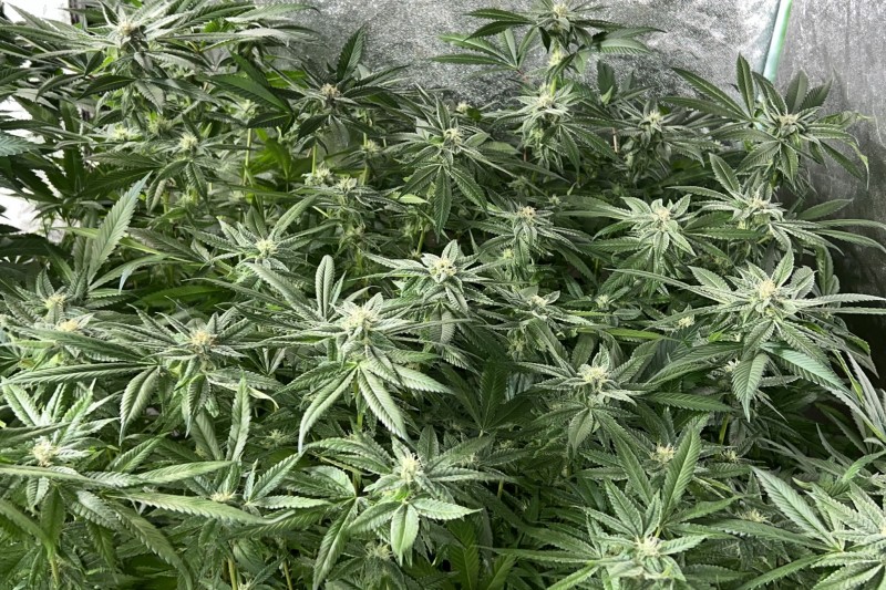 312F5A02-930E-444D-B3F5-6013131A5804