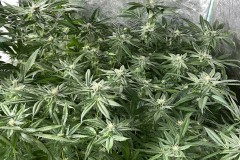 312F5A02-930E-444D-B3F5-6013131A5804