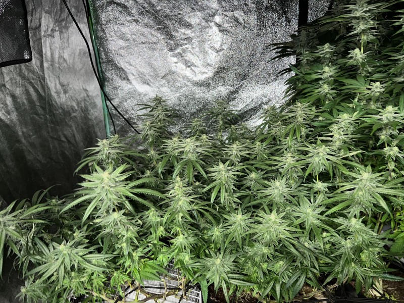 B4BBA445-9B1A-485C-8C38-0EEC1E67E61F