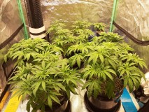 20230304_120223 - Copy