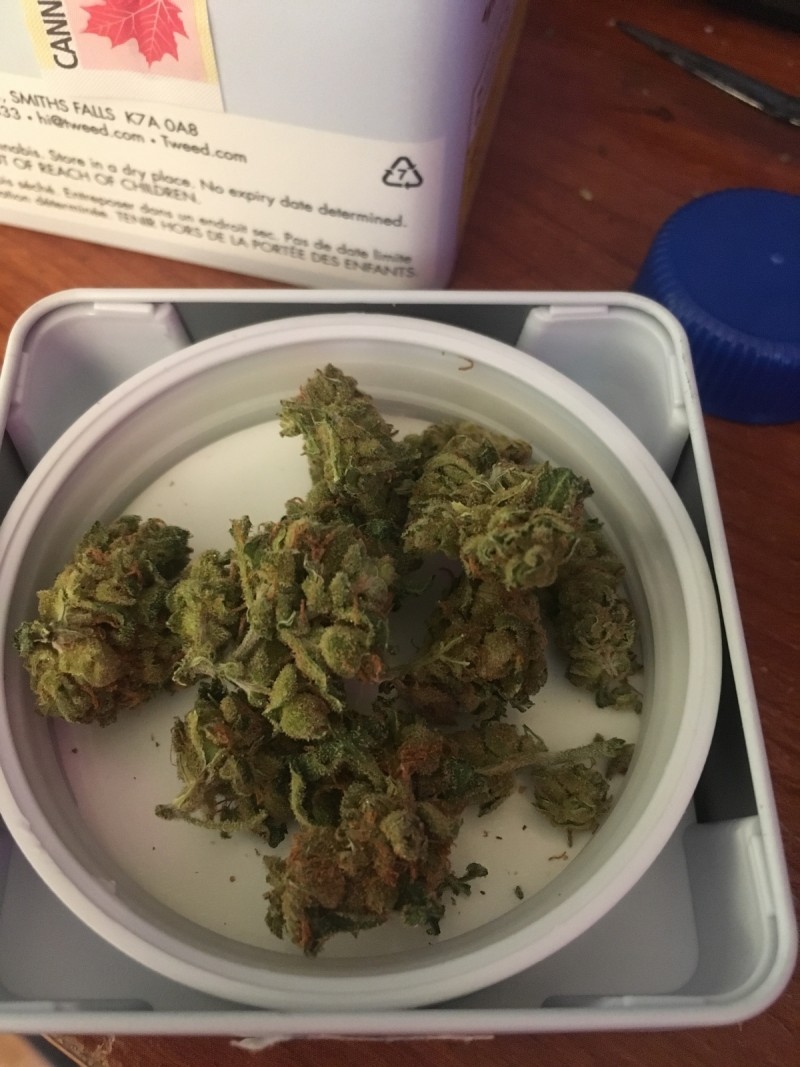 3CD32081-34B9-40A6-A7A3-B9E8DCA5A7D8