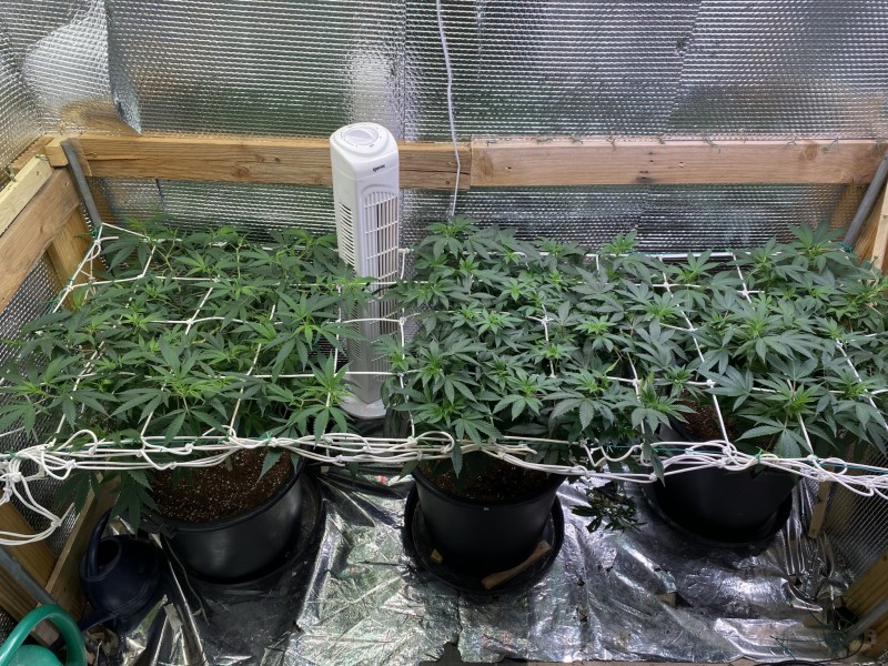 D5455DCB-AC6A-4151-9703-91AA3DB1DE08