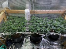 D5455DCB-AC6A-4151-9703-91AA3DB1DE08