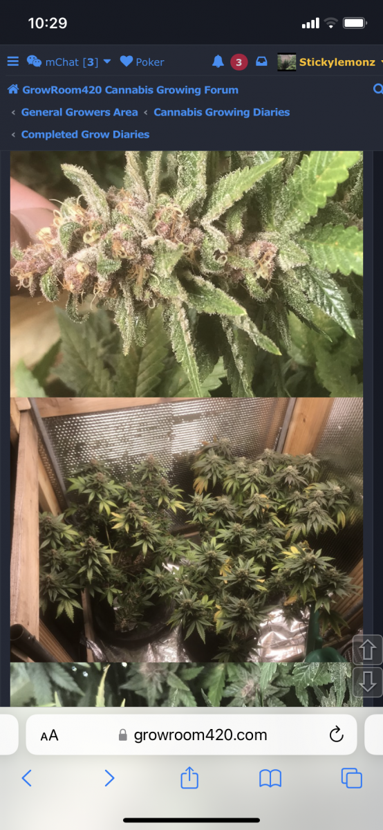 4368DF57-DF74-47EB-9390-F16804E13B5B