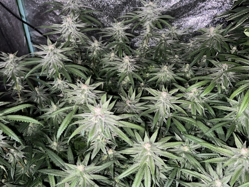 8A392DF5-3A76-4E28-8FCD-FD1CE0F4B514