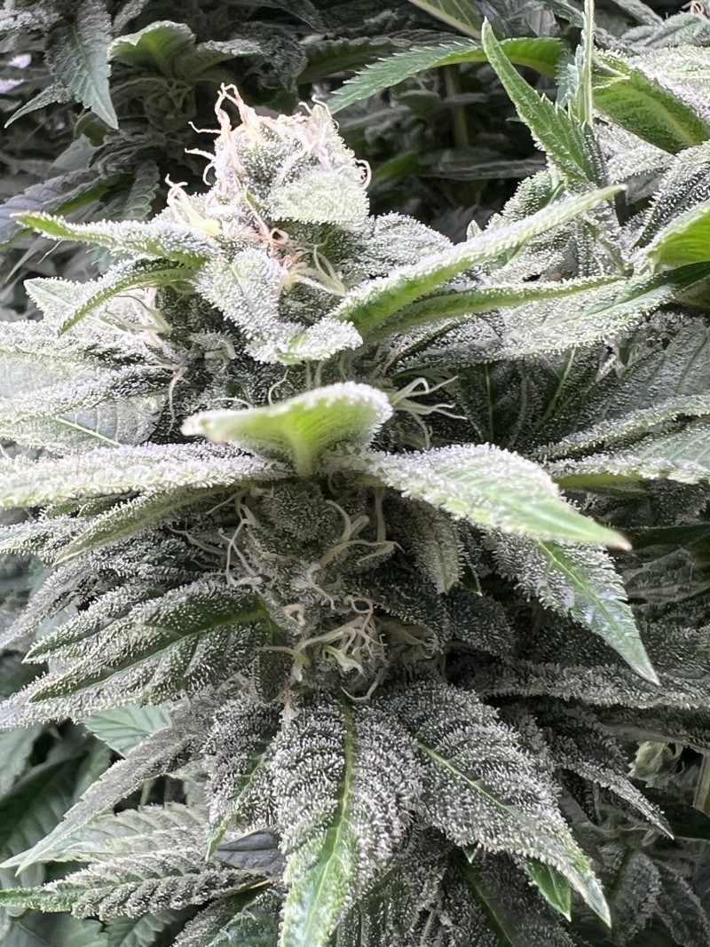 264D3210-57F8-4967-97D6-E8655BBB8F27