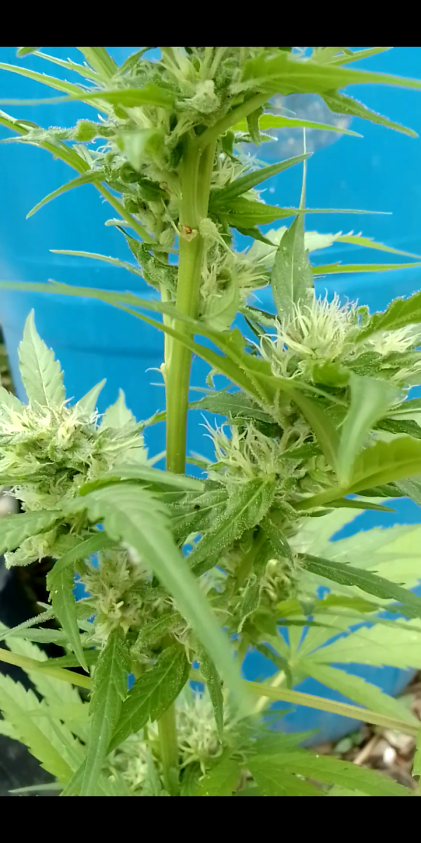 Screenshot_20230307-222904