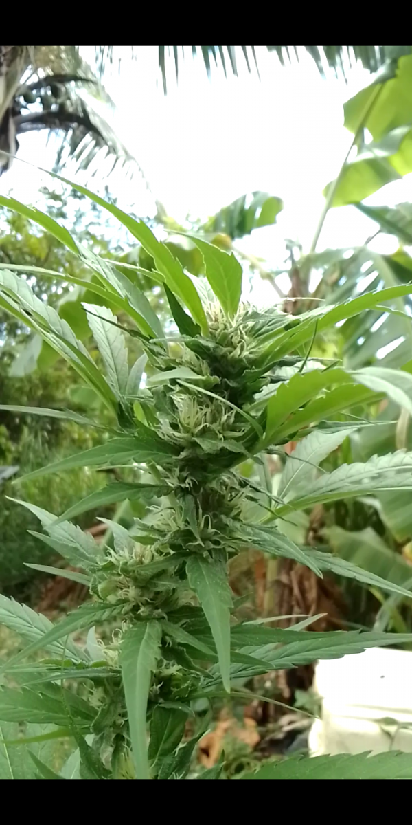 Screenshot_20230307-222517