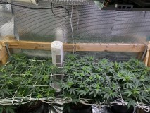 AE0C8CC9-7CDE-47E6-9C70-17D65511BDCD