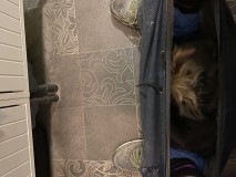 22622B82-880E-4F26-8B88-E33A3FF073FC