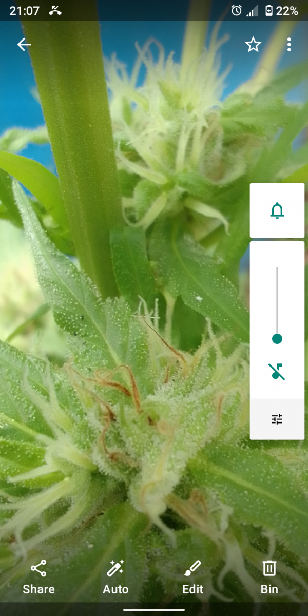 Screenshot_20230309-210727