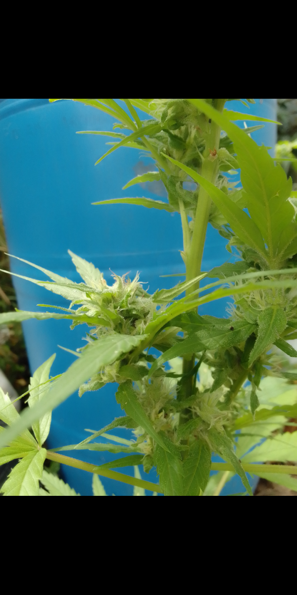 Screenshot_20230309-210553