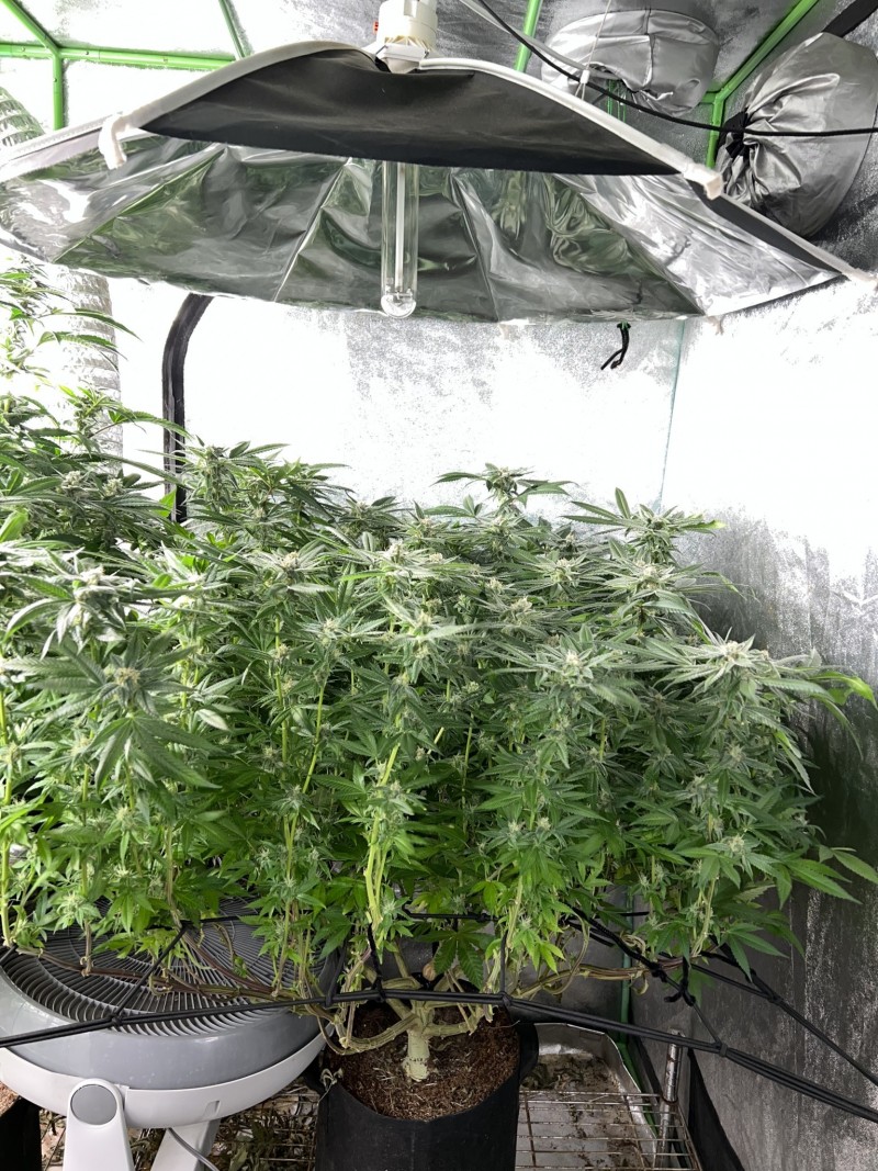 6D9C7D0F-6B41-45F4-B180-FCC3139B0E73