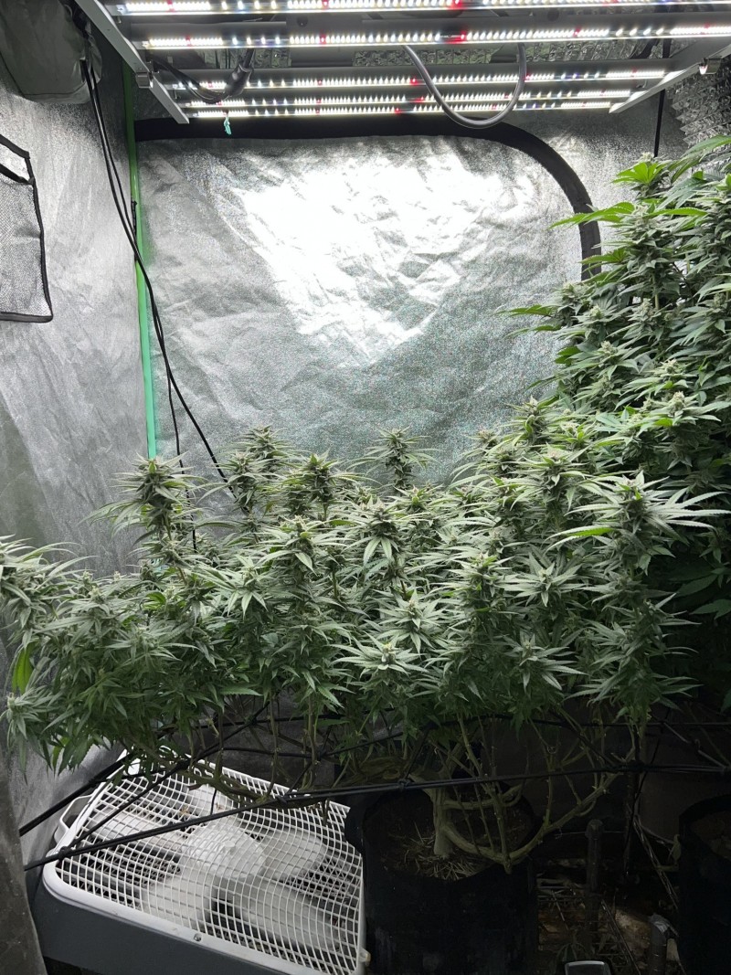 035A78BB-B11A-4281-8999-F10B0EB90BBE