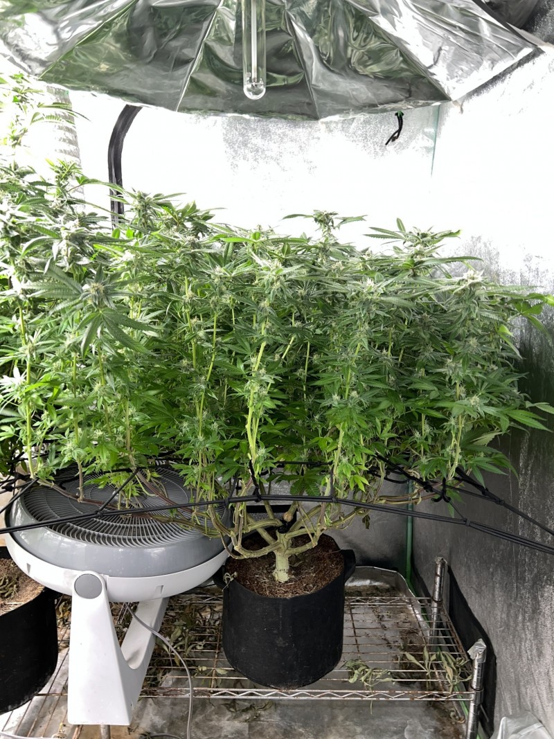 BAE16FD0-27FF-4314-9BA3-6CE1480F8931